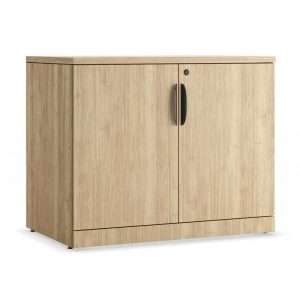 Locking Storage Cabinet