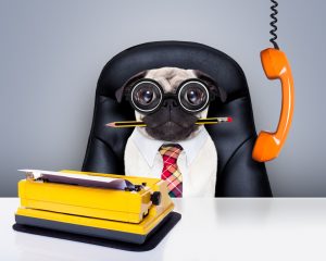 PetsWorkplace