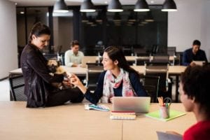 pets in the workplace