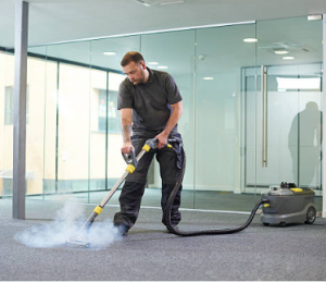 Sanitizing and cleaning - steaming carpets