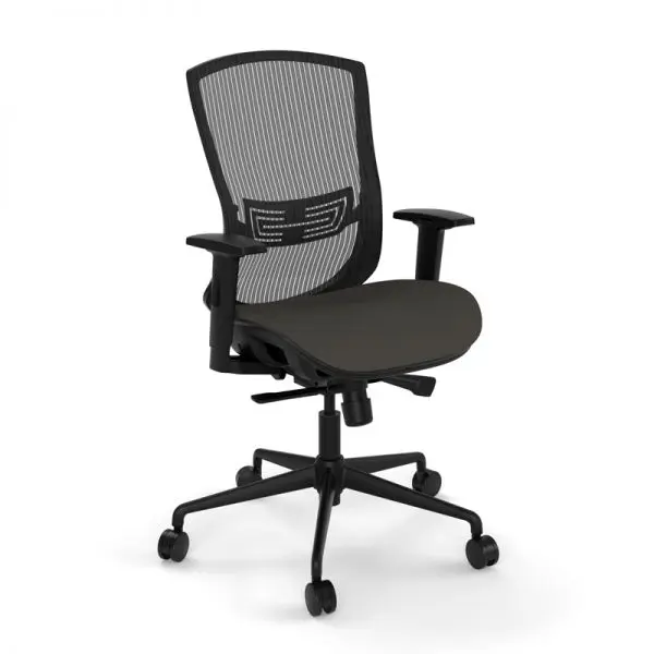 https://www.officefurnitureez.com/wp-content/uploads/2020/05/Back-Support-Office-Chair-Performance-Pivot-600x600.jpg.webp