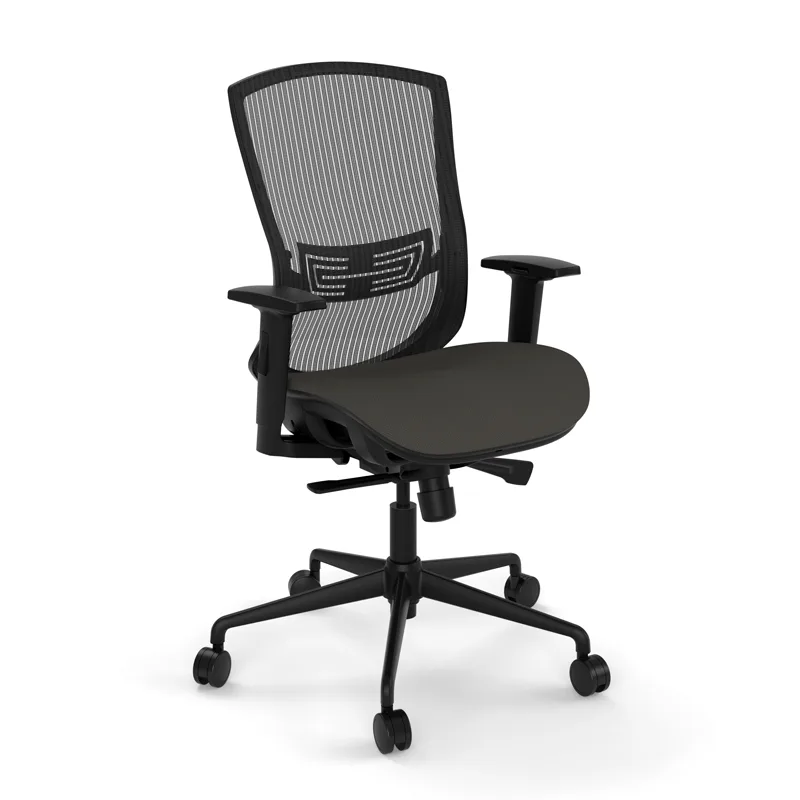 MODVEL Back Support for Office Chair