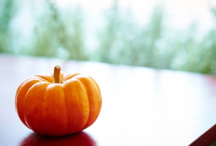 Halloween at the office find pumpkin